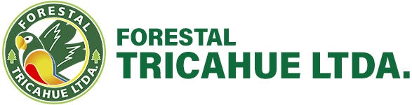 Forestal Tricahue